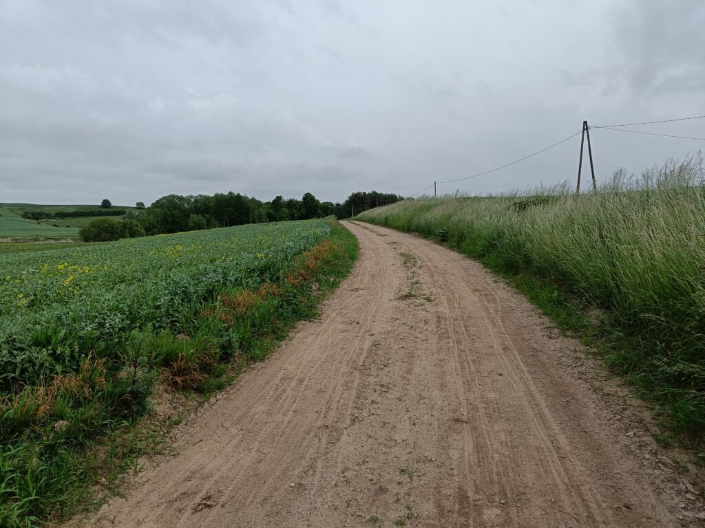 droga przebiegające przez pole, bo bokach wysokie trawy, badanie prawne nieruchomości
